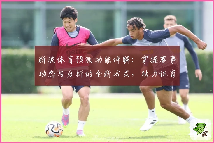 新浪体育预测功能详解：掌握赛事动态与分析的全新方式，助力体育爱好者决策升级