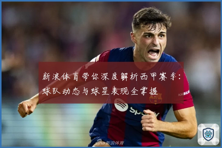 新浪体育带你深度解析西甲赛季：球队动态与球星表现全掌握