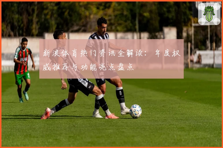 新浪体育热门资讯全解读：年度权威推荐与功能亮点盘点