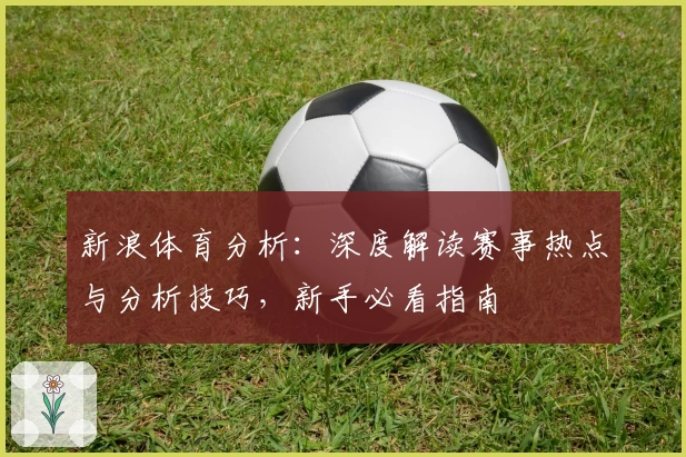 新浪体育分析：深度解读赛事热点与分析技巧，新手必看指南