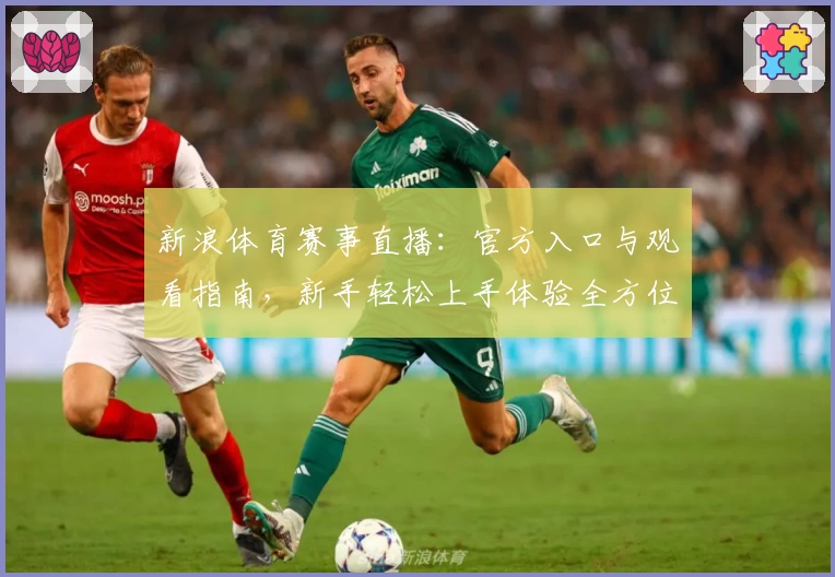 新浪体育赛事直播:官方入口与观看指南,新手轻松上手体验全方位赛事内容