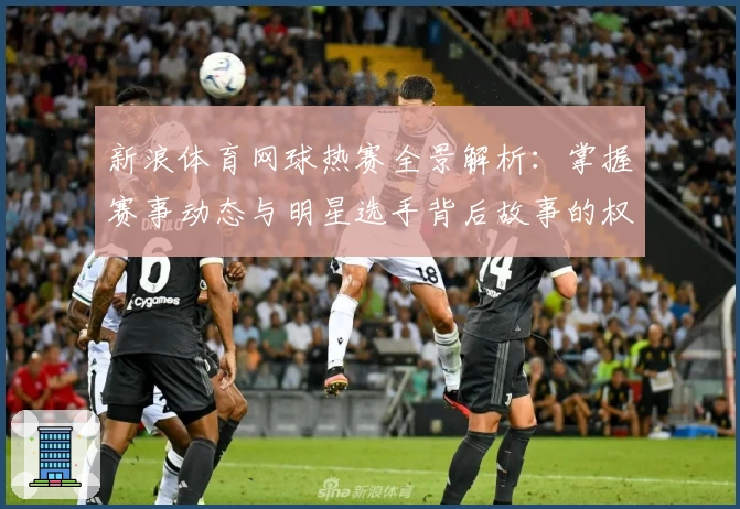 新浪体育网球热赛全景解析：掌握赛事动态与明星选手背后故事的权威指南