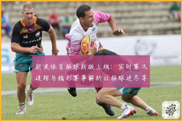 新浪体育排球新版上线：实时赛况追踪与精彩赛事解析让排球迷尽享热血时刻