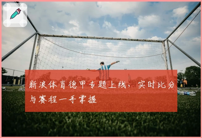 新浪体育德甲专题上线，实时比分与赛程一手掌握