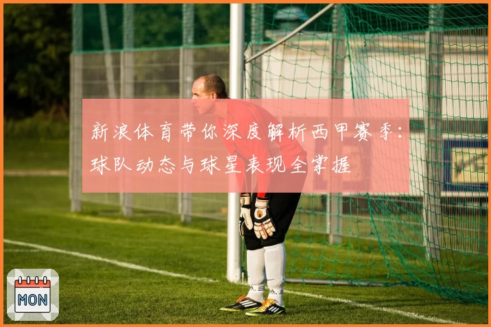 新浪体育带你深度解析西甲赛季：球队动态与球星表现全掌握