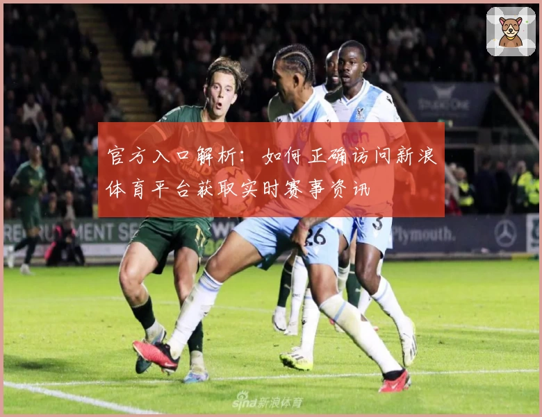 官方入口解析：如何正确访问新浪体育平台获取实时赛事资讯