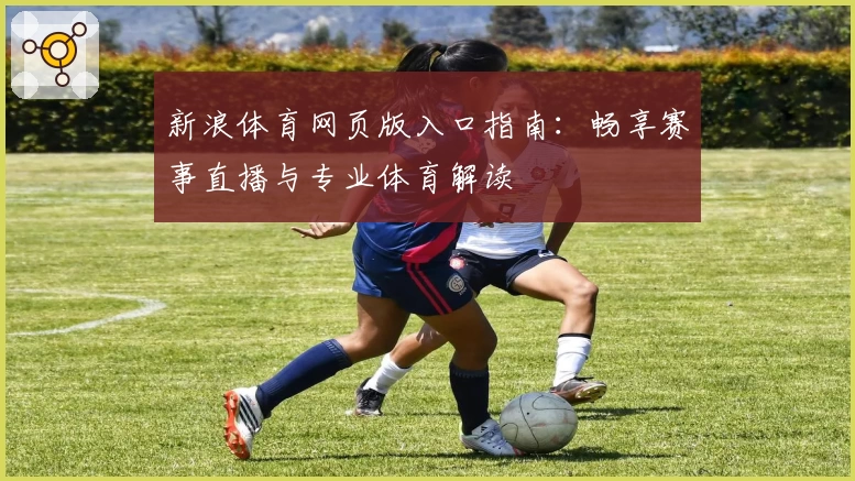 新浪体育网页版入口指南：畅享赛事直播与专业体育解读