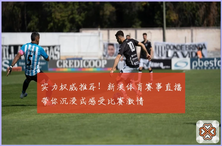 实力权威推荐！新浪体育赛事直播带你沉浸式感受比赛激情
