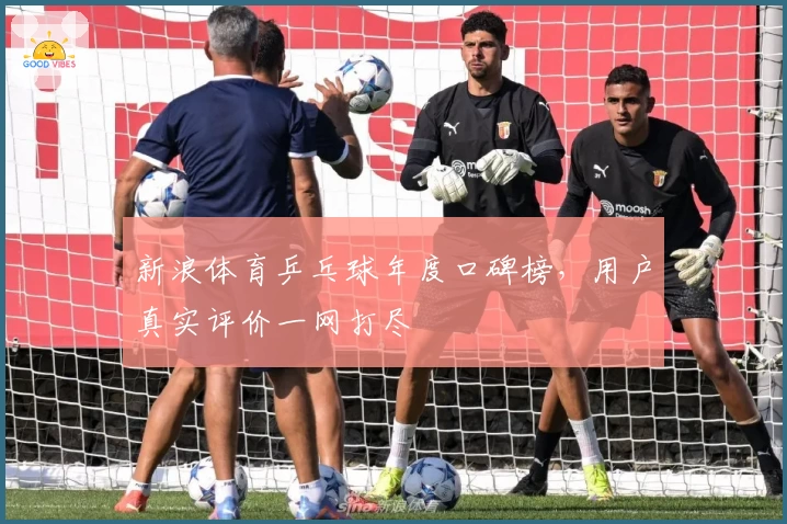 新浪体育乒乓球年度口碑榜，用户真实评价一网打尽
