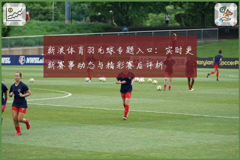 新浪体育羽毛球专题入口：实时更新赛事动态与精彩赛后评析