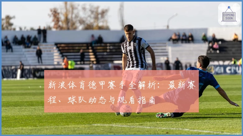 新浪体育德甲赛季全解析：最新赛程、球队动态与观看指南