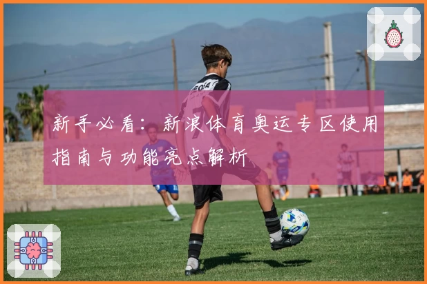 新手必看：新浪体育奥运专区使用指南与功能亮点解析