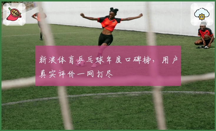 新浪体育乒乓球年度口碑榜，用户真实评价一网打尽