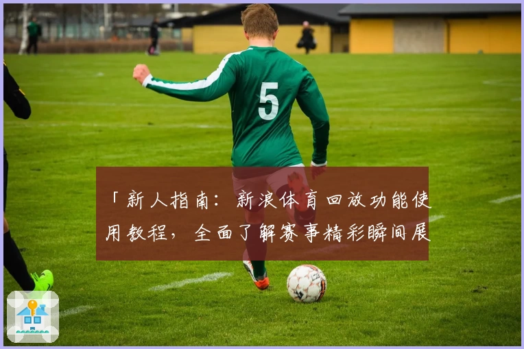 「新人指南：新浪体育回放功能使用教程，全面了解赛事精彩瞬间展现」
